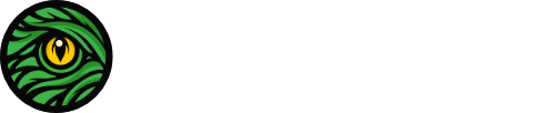 Dracoeye logo